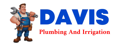 Trusted plumber in DORA